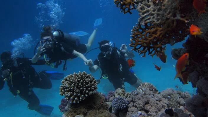 friends diving