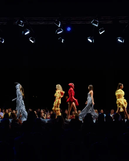 Međunarodni festival mode (International Fashion Festival)