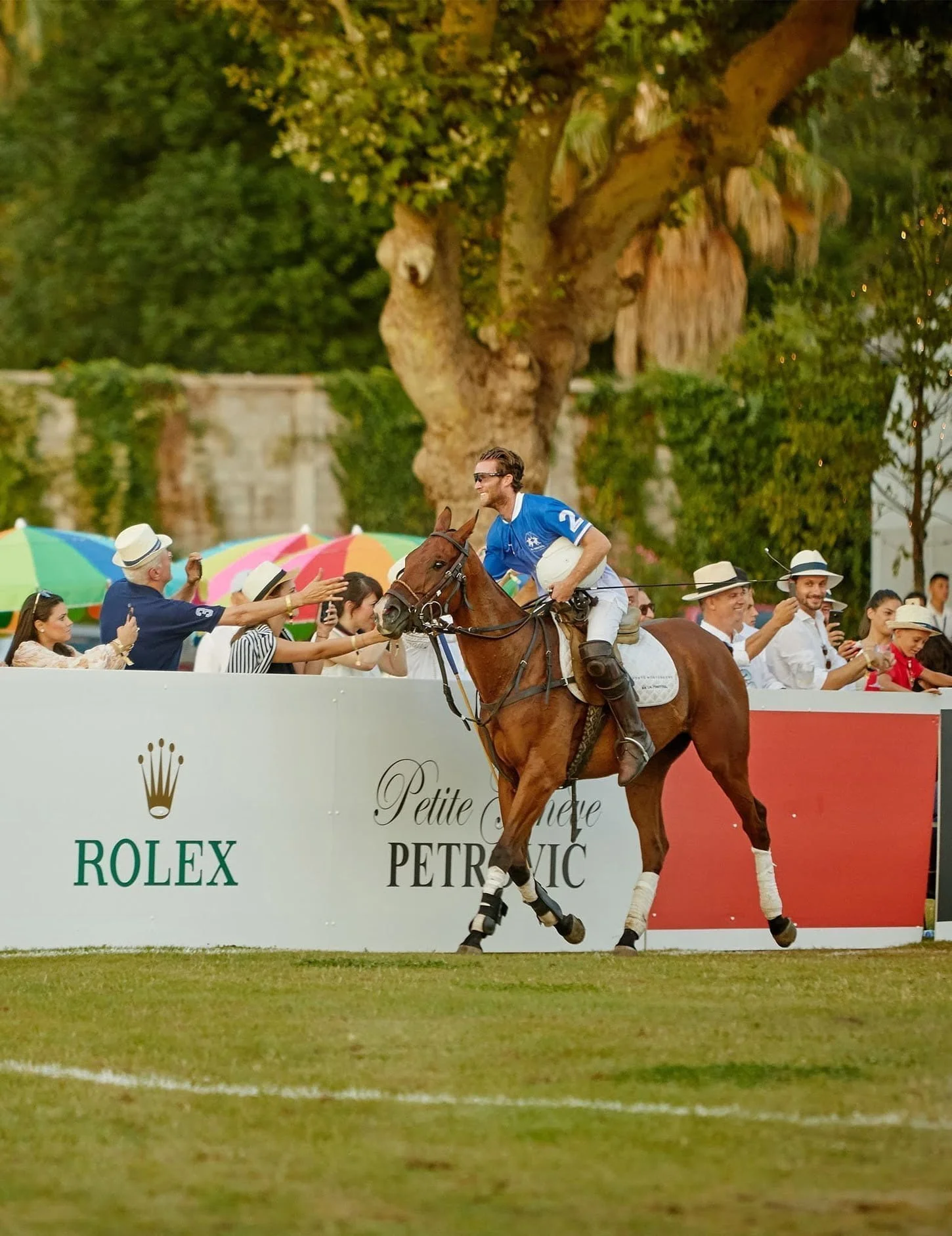 Man on horse playing polo