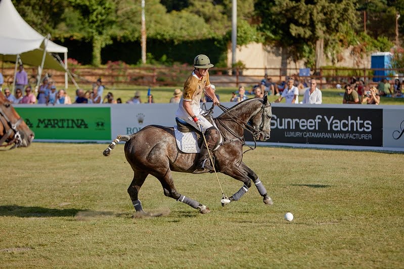 Polo player on the horse