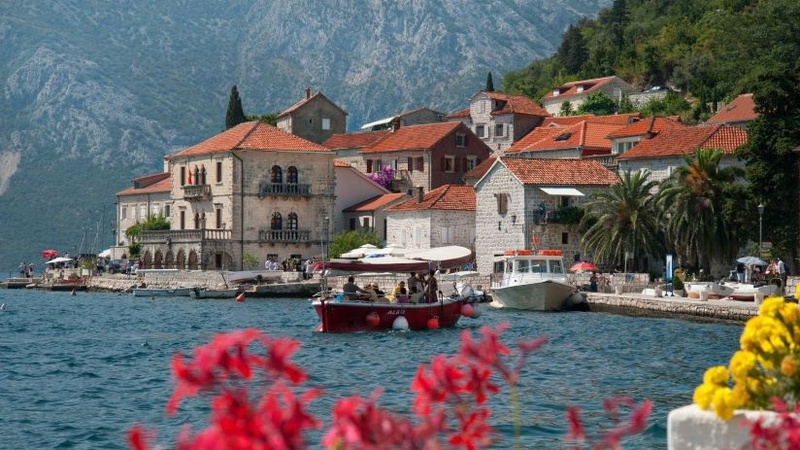 Rose, Montenegro