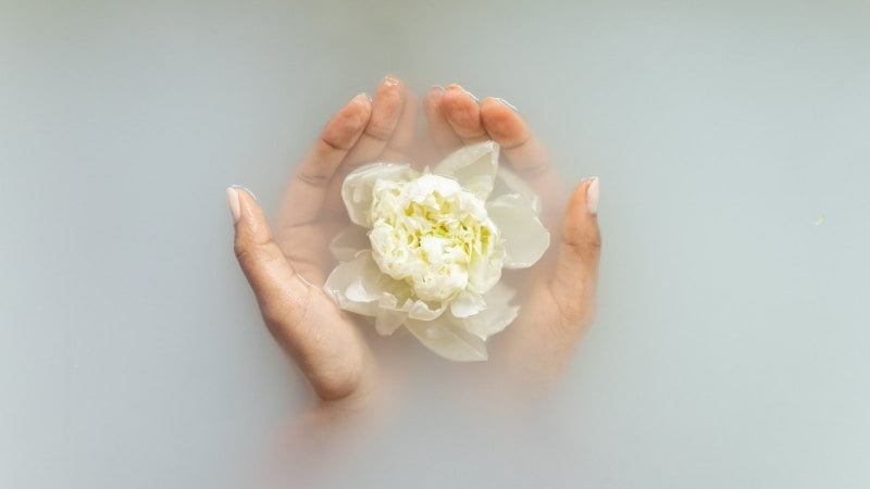 Women's hands holding a flower in a bath