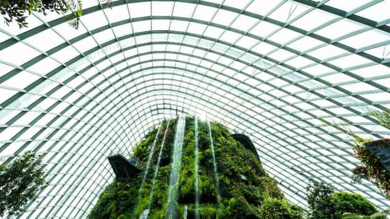 Modern glass dome building surrounded by lush greenery and forest, showcasing sustainable green architecture design.