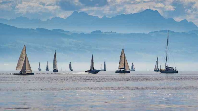 A fleet of sailboats racing on a sea during a sunny day at a sailing festival.