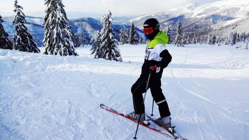 A skier in winter gear gliding down a snowy mountain slope with snow-covered trees and distant peaks in the background.
