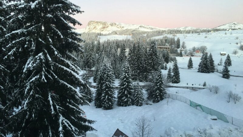 Snow-covered mountain landscape with evergreen trees in the foreground under a clear winter sky.