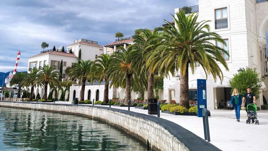 Tivat port in Montenegro with palm trees and moored boats under clear skies.